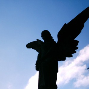 Funerals & Memorials